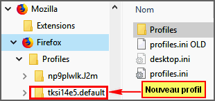 Captures/FF/crea_nouv_prof_ff_3.png