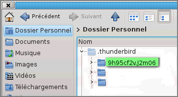 Captures/Linux/profi_9h95vf2v.png