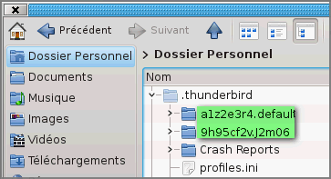 Captures/Linux/profil_9h95vf2v.png