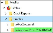 Captures/Windows/anci_donn_firefox_3.png