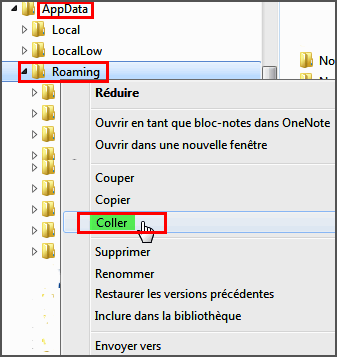 Captures/Windows/appdata_roaming_coller.png