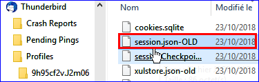 Captures/Windows/session_json.png